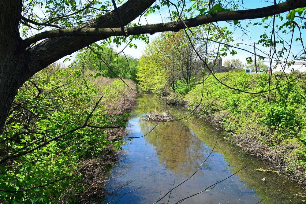 Small creek flowing through ridgefield park nj
